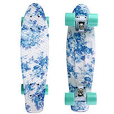 22" X 6" Skateboards Retro Standard Skate Board Mini