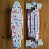 22" X 6" Skateboards Retro Standard Skate Board Mini
