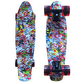 CHI YUAN 22" Cruiser Skateboard