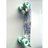 CHI YUAN 22"Mini Cruiser Board Plastic Skateboard